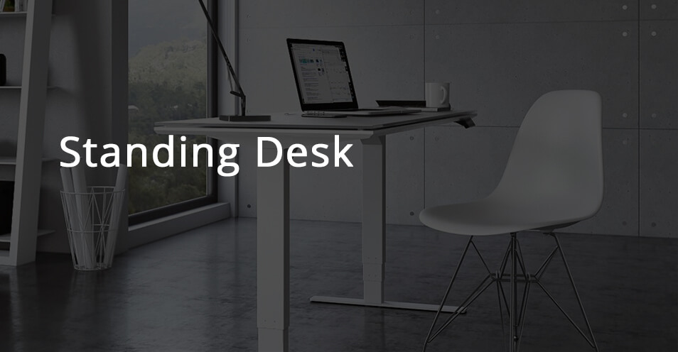 home standing desk