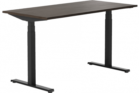 sit standing desk